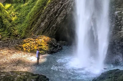 Feel the mist at multnomah falls, wander lush trails in the columbia gorge, and hear local legends on this half-day hiking tour with guide and pickup included.