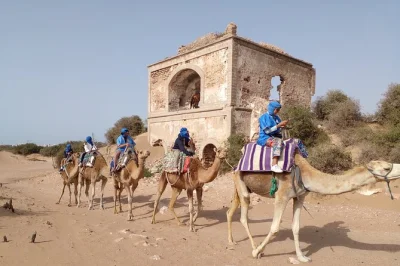 Feel the atlantic breeze on a camel or quad ride near essaouira, explore the 15th-century portuguese fort, and spot wild birds with a local guide. includes pickup.