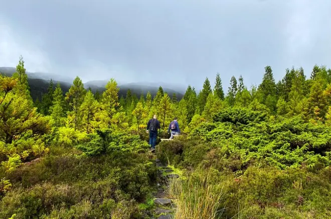 Terceira Insel Wanderung: Mistérios Negros Pfad & Schwimmen