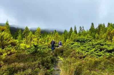 Escursione a Terceira: Sentiero Mistérios Negros e bagno