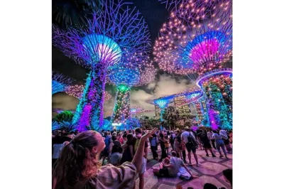 Feel the pulse of singapore after dark with a river cruise, merlion park stop, and two light shows. includes hotel pickup, local guide, and small group comfort.