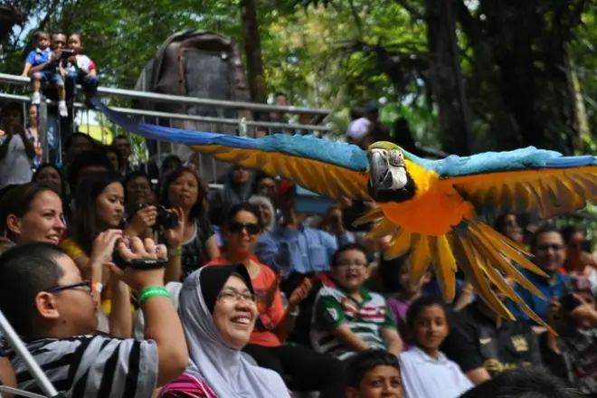 Visita al Parco degli uccelli di Kuala Lumpur con trasferimenti hotel