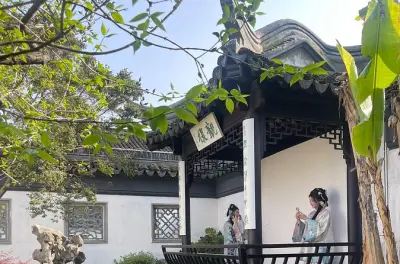 Tongli Water Town y Pingjiang Road: Tour privado de 9 horas con guía