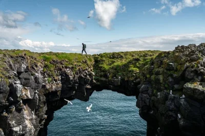 Feel the wild side of iceland on a small group day trip to snæfellsnes peninsula & kirkjufell, with seals, black beaches, and pickup from reykjavík included.
