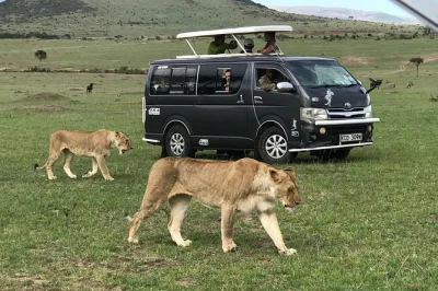 Affordable 3-day maasai mara safari from nairobi. see the big 5, enjoy group game drives, and stay at eco camp. all meals, park fees, transfers included.
