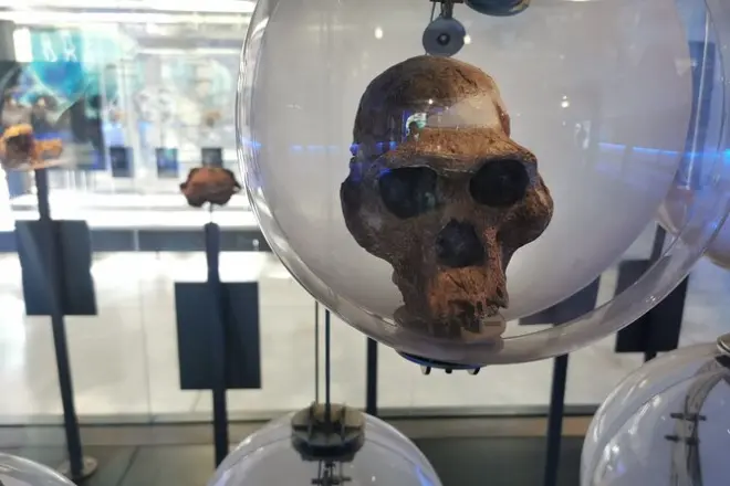 Cradle of Humankind: Sterkfontein-Höhlen und Lesedi Cultural Village