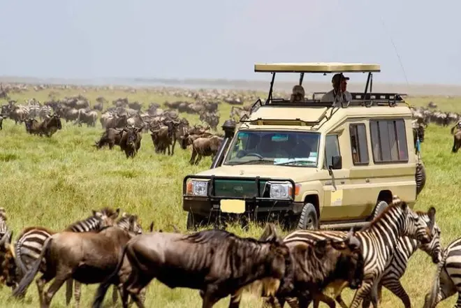 Nairobi National Park Tagestour mit Führung: 4 der Big 5 sehen