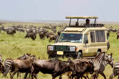 Nairobi National Park Tagestour mit Führung: 4 der Big 5 sehen
