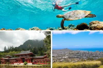 Descubre oahu de verdad en un tour privado con paradas locales, tortugas, plantación dole y recogida incluida. personalizado para tu grupo, a tu ritmo.