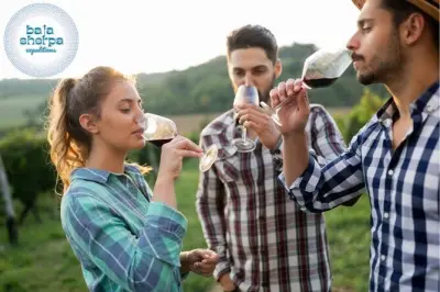 Valle de Guadalupe Wein-Tour: 3-4 Weingüter im Luxusfahrzeug