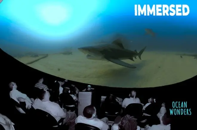 Immersione virtuale a Catalina Island: Film oceanico a 360°