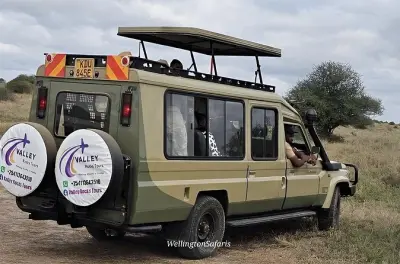 Safari de 3 dias na Masai Mara saindo de Nairobi: Quatro safáris