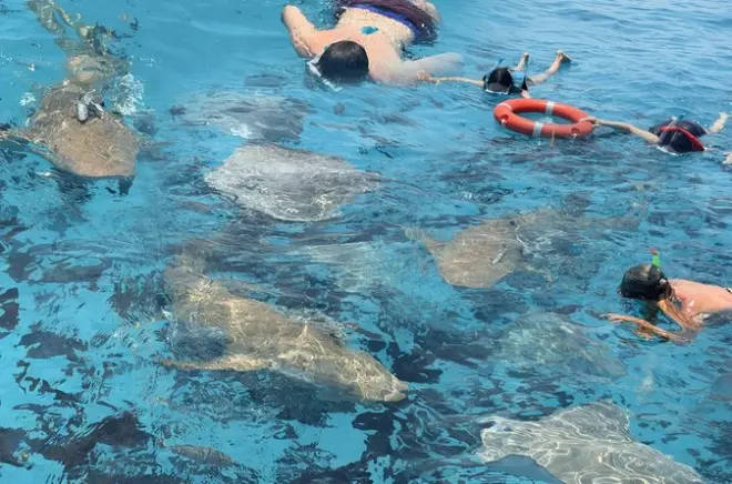 Malé: Snorkel com tubarões, recifes e banco de areia