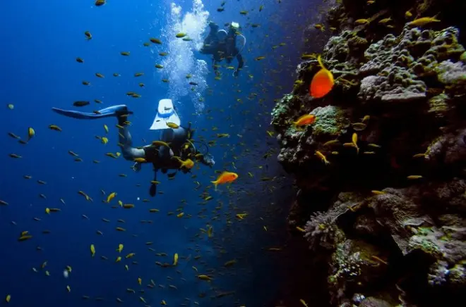 Tauchen in Budva: Unterwasser-Tunnel & Bootserlebnis