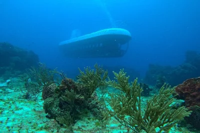 Feel the thrill of a real submarine dive in cozumel, exploring chankanaab reef’s marine life, coral walls, and a sunken shipwreck—includes digital certificate.