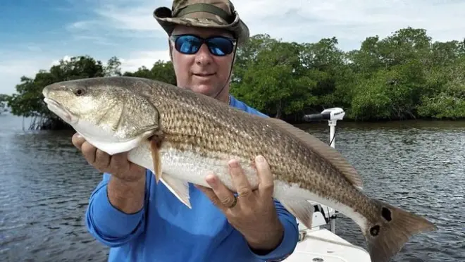 Charter privato di pesca inshore a Amelia Island