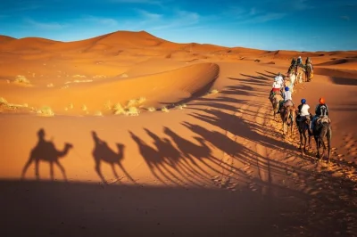 Feel the thrill of a marrakech to merzouga desert tour—cross the atlas, explore ait ben haddou, ride camels at sunset, and sleep under saharan stars. includes pickup.