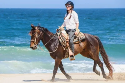 Feel the red sea breeze on a horse ride near sharm el sheikh, choosing beach or desert trails. includes hotel pickup, safety gear, and local guides for all levels.