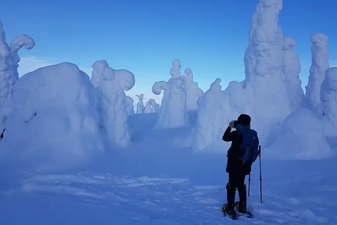 Riisitunturi Snowshoe Adventure: Guided Winter Trek in Lapland