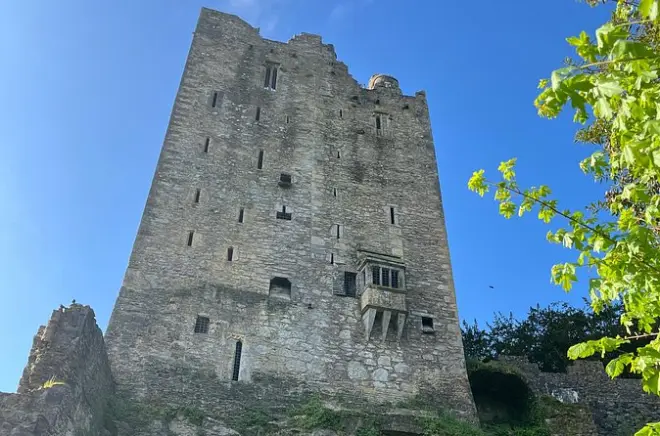 Blarney Castle & Cork City guided minibus tour with guide