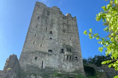 Blarney Castle & Cork City guided minibus tour with guide
