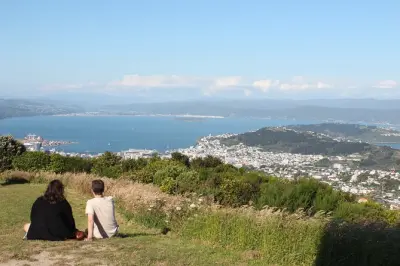 Wellington Scenic Full Day Tour: Private guide, 8 hours