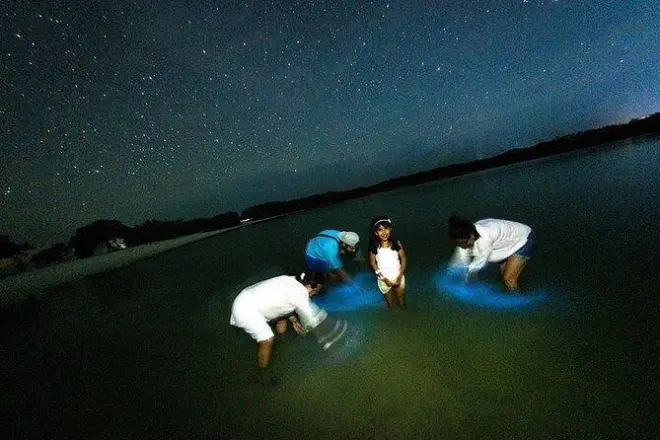 Bioluminescence à Holbox en voiturette : Ciel nocturne et plancton