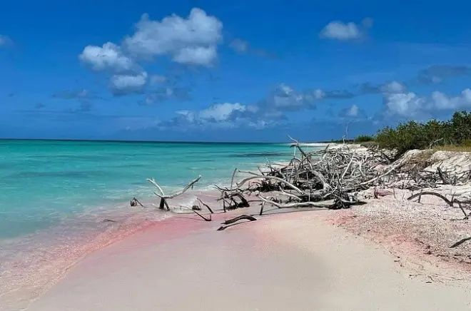 Tour privé d’Antigua : Créez votre journée à votre rythme