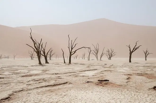 10-tägige Namibia-Reise: Etosha, Sossusvlei & Swakopmund