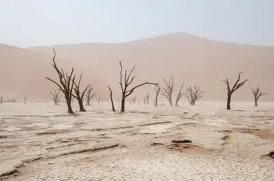 Namíbia 10 dias: Etosha, Sossusvlei e Swakopmund