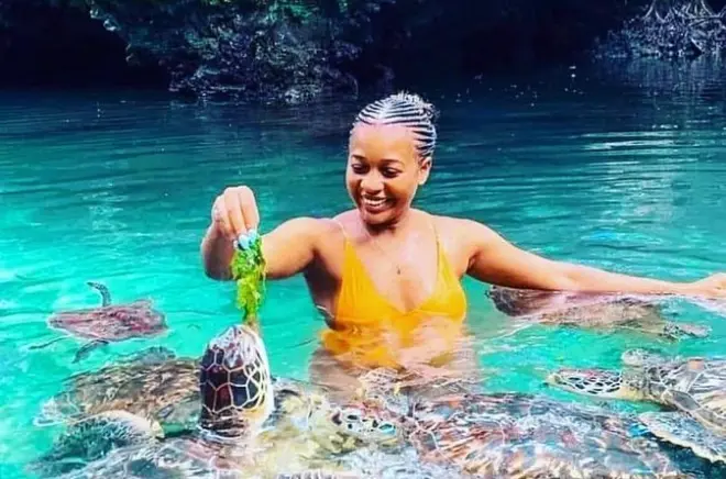 Tortues, marché aux poissons et coucher de soleil en dhow à Zanzibar
