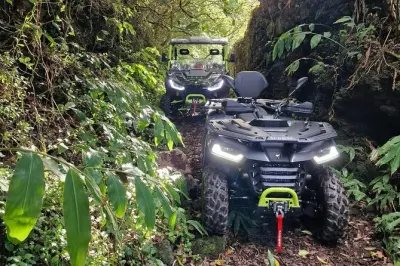 Buggyfahrt am Mount Pico: 3-stündiges Offroad-Abenteuer