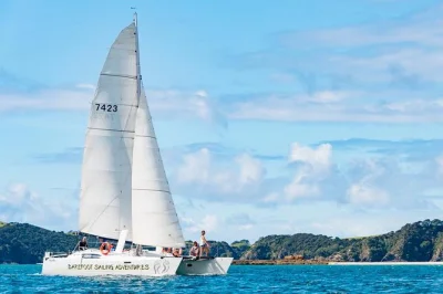 Step onto a bay of islands catamaran for a 6-hour sailing cruise with wildlife sanctuary island stop, snorkeling, paddle boarding, hikes, and lunch included.