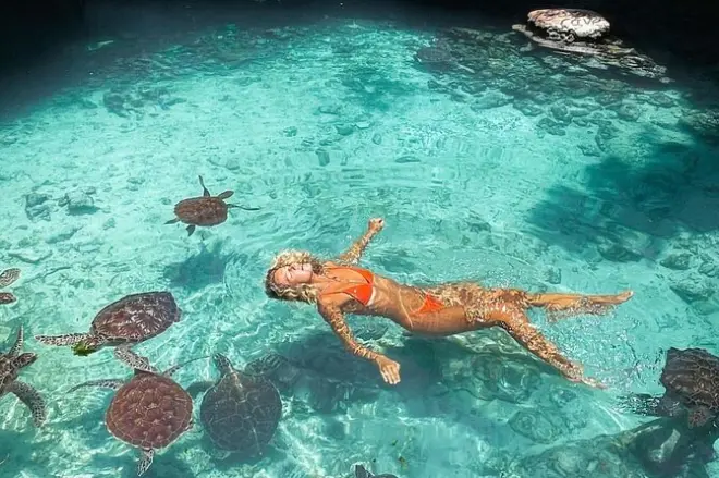 Zanzibar : Tortues, plages et dîner au coucher du soleil