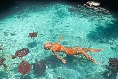 Zanzibar : Tortues, plages et dîner au coucher du soleil