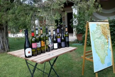 Wine tasting tour Rovinj: Two wineries, local snacks