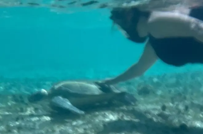 Snorkeling on Grand Bahama Island with sea scooter