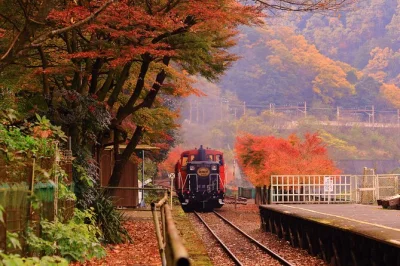 Feel the hush of arashiyama’s bamboo forest, ride the sagano train, and walk fushimi inari’s gates on a kyoto day trip with pickup and local guide included.