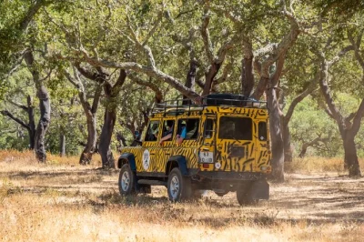 Jump into a land rover for an algarve jeep safari, tasting local liqueurs, honey, and jams. includes pickup, swim stops, and stories from your guide.