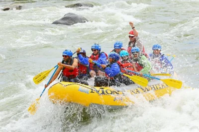 Feel the rush on an 8-mile yellowstone whitewater rafting trip with local guides, all gear included. swim, spot wildlife, and enjoy easy pickup in gardiner.