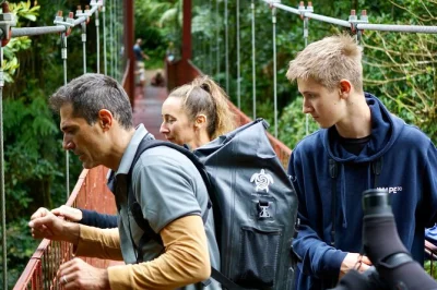 Step into monteverde’s misty cloud forest with a private guide, spot wildlife up close, and explore at your own pace. flat rate for small groups, book direct.