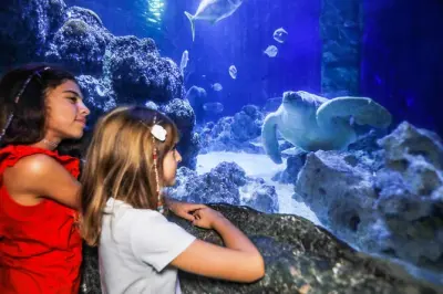 SEA LIFE Oberhausen Admission: Germany's Largest Aquarium