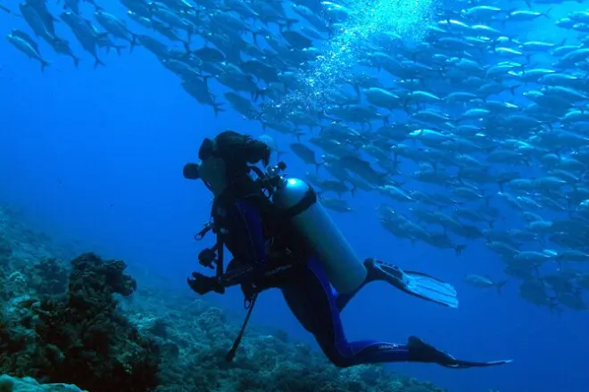 Immersioni a Tahiti: Giornata per sub certificati con 2 immersioni