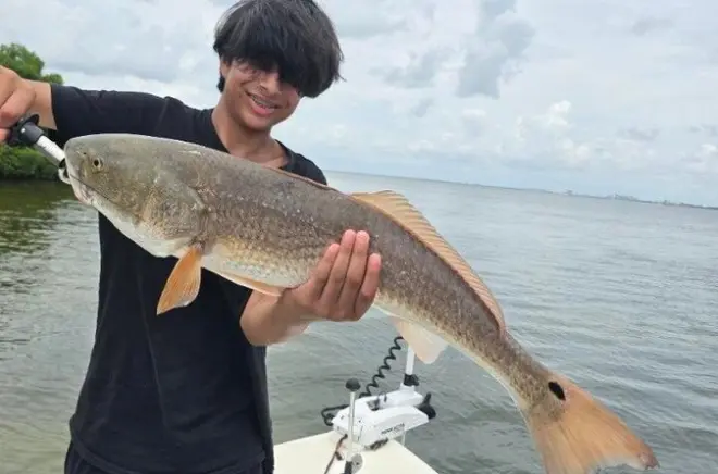 Charter privé de pêche côtière à St Petersburg : Baie de Tampa