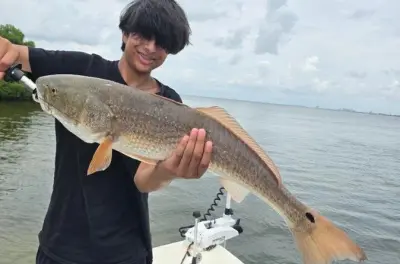 Pescaria particular em St Petersburg: Tampa Bay