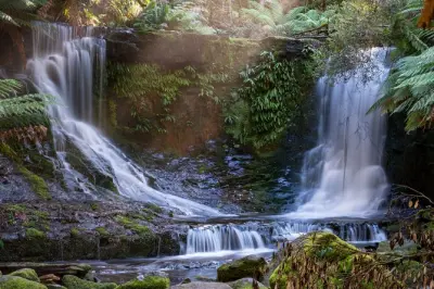 Mount Field Waterfalls Tour: Walk Falls & Taste Local Produce