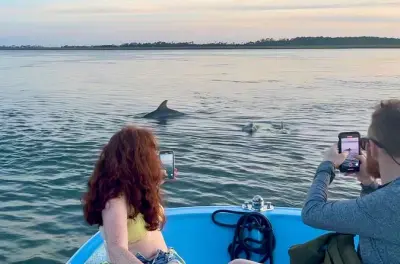 Morris Island Delfin-Tour und Muschelsuche ab Folly Beach