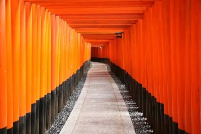 Step into kyoto’s shrines & temples on an afternoon tour with entry fees, transport, & english-speaking guide included. visit fushimi inari, sanjusangen-do, kiyomizu-dera.