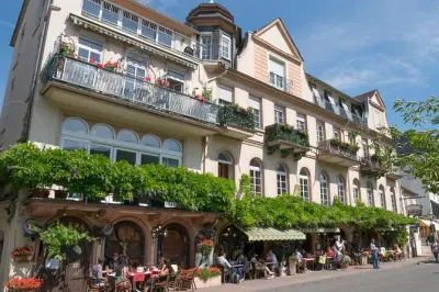 Rhine Valley tour: UNESCO cruise and wine tasting