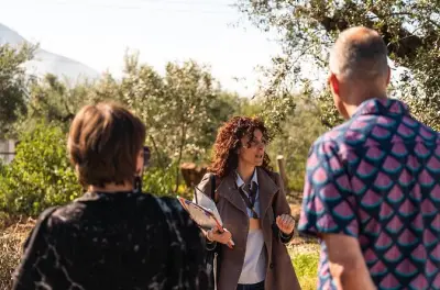 Cata y paseo por olivar en Kalamata con 4 variedades griegas